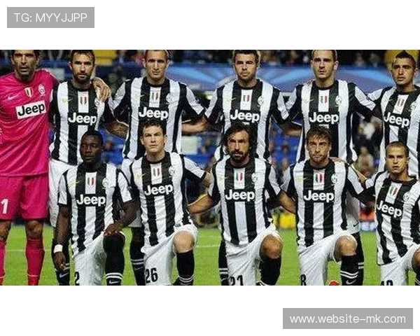 体育管理专业实践:意甲俱乐部实习项目与人才培养 体育管理专业实践:意甲俱乐部实习项目与人才培养